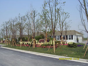 Movable Prefabricated School